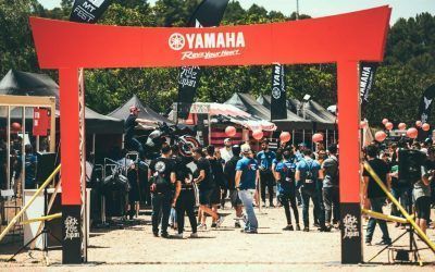 MT-FEST 2019